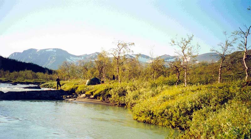 SAREK 02 003 