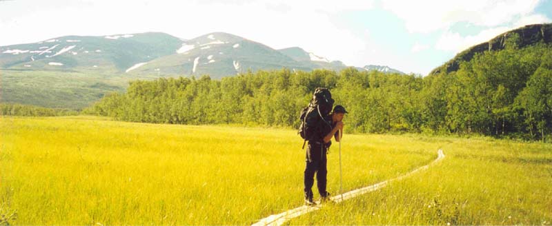 Sarek 